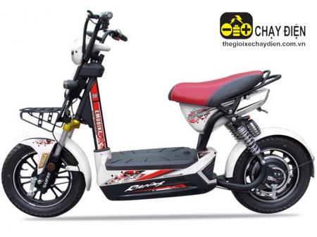 Xe máy điện Sufat 133X7