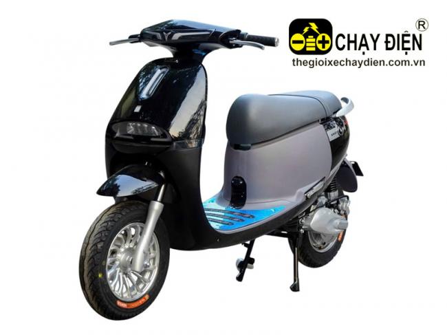Xe máy điện Yaka Gogo Đen bóng