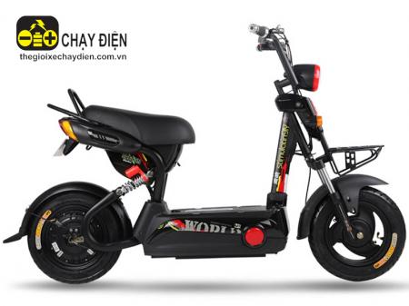 Xe máy điện YD-EM25