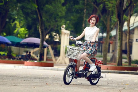 Thương hiệu xe đạp điện giá rẻ dưới 9 triệu đồng