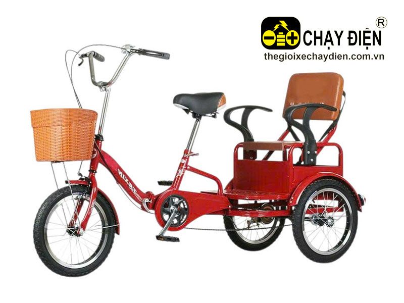 Xe đạp 3 bánh chở người Smart F3