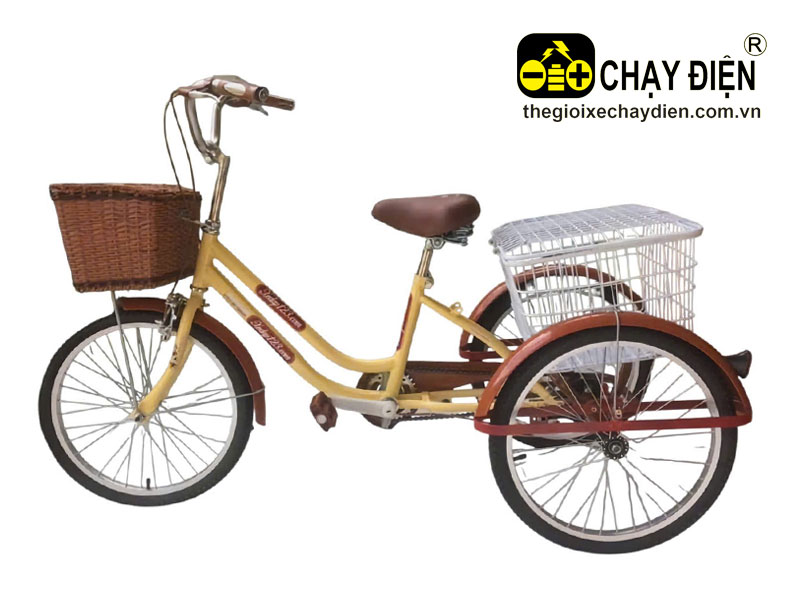 Xe đạp ba bánh cho người già Smart H2