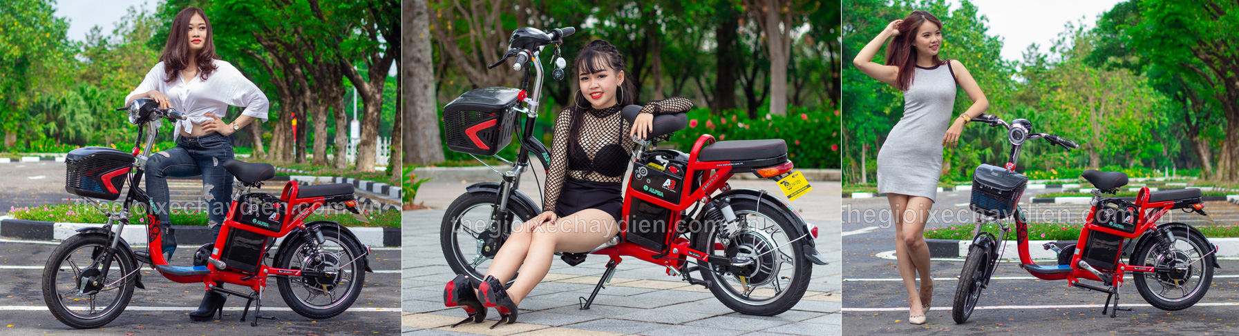 Xe đạp điện Alpha 