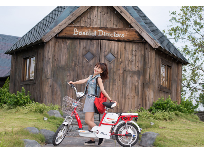 Xe đạp điện Autobike tại Bạc Liêu 