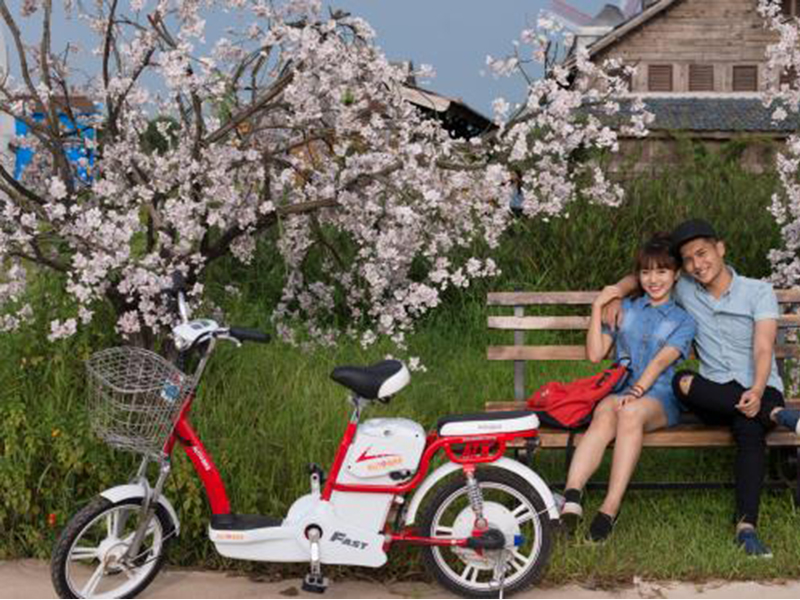 Xe đạp điện Autobike tại Quảng Bình 