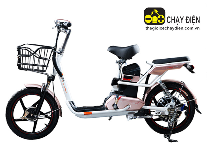 Xe đạp điện Autosun nhập khẩu Long Biên