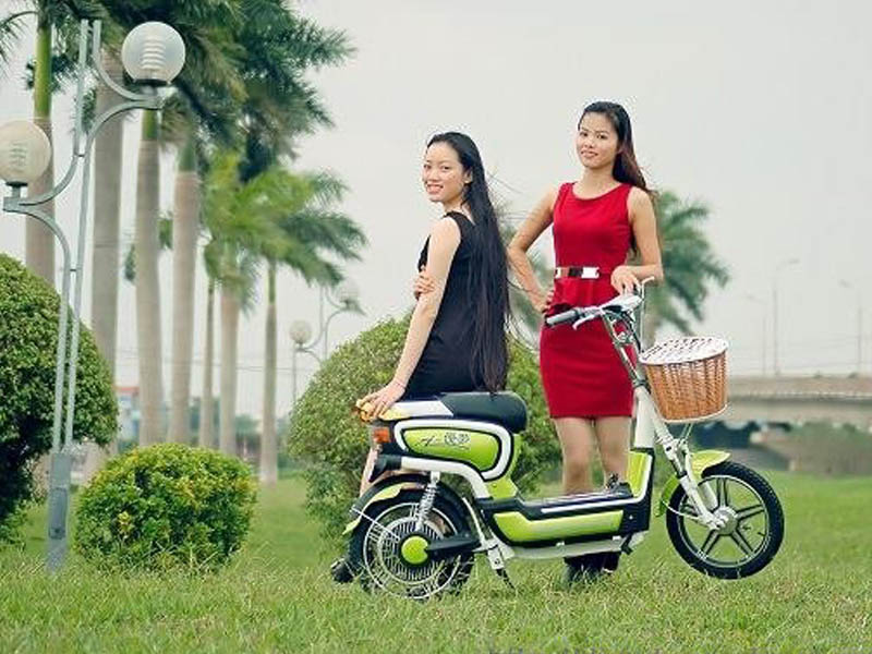 Xe đạp điện Bridgestone nhập khẩu TPHCM
