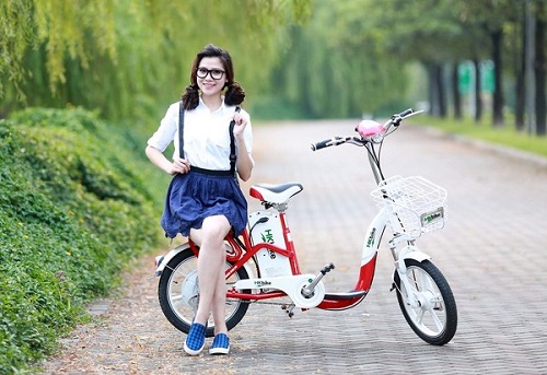 Xe đạp điện chạy pin hay acquy tốt hơn