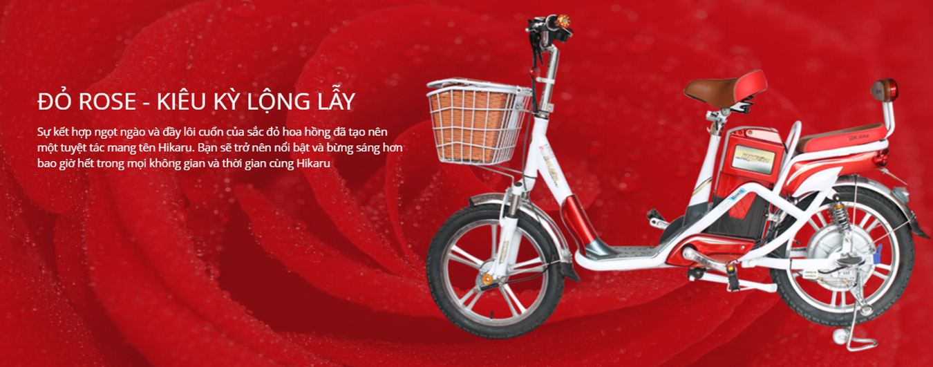 Xe đạp điện Đào khôi Dkbike Hikaru 