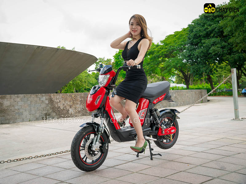 Xe đạp điện Đào Khôi Dkbike nhập khẩu Nghệ An