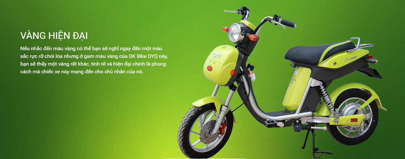 Xe đạp điện Dk Bike DYQ 
