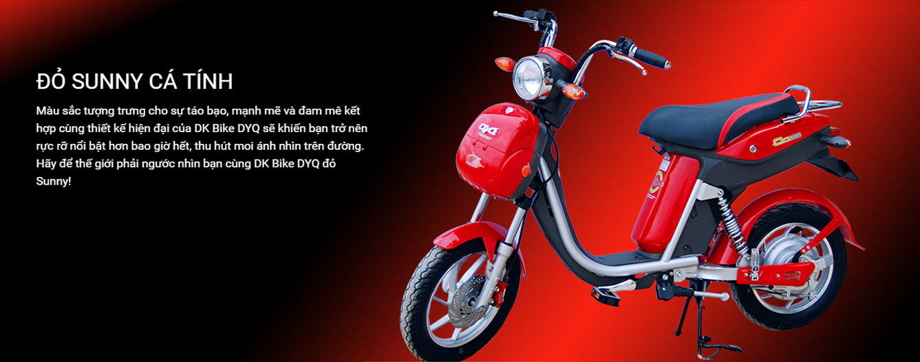 Xe đạp điện Dk Bike DYQ 