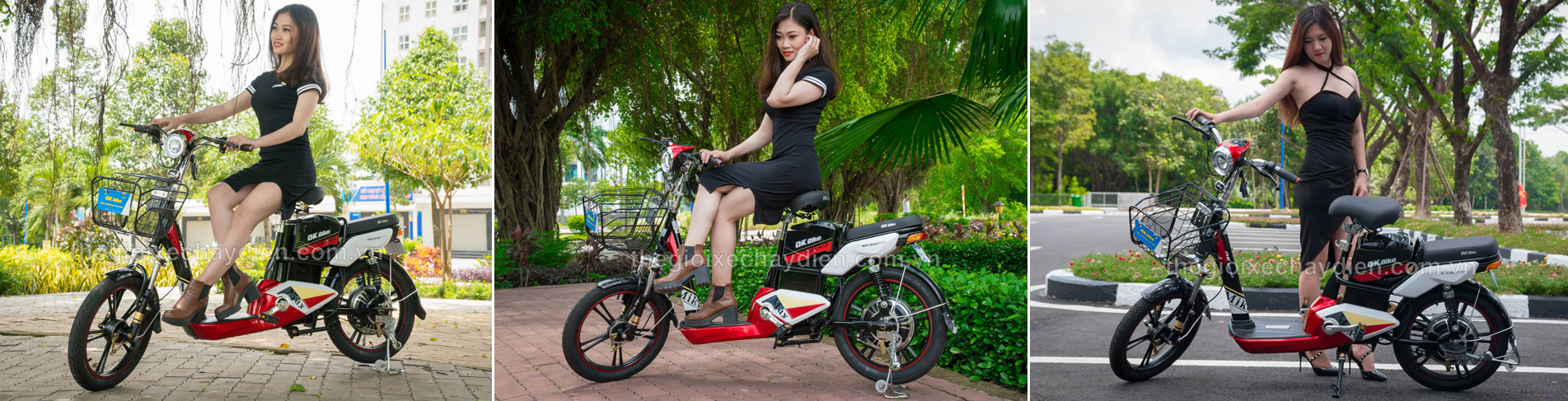 Xe đạp điện Dkbike Miku Max 