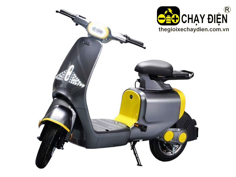 Xe đạp điện Dkbike S1