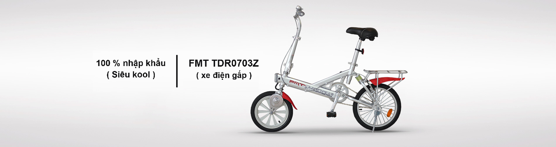 Xe đạp điện gấp cổ FMT TDR0703Z 