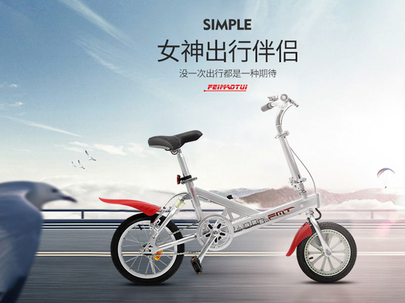 Xe đạp điện gấp FMT nhập khẩu Hà Đông