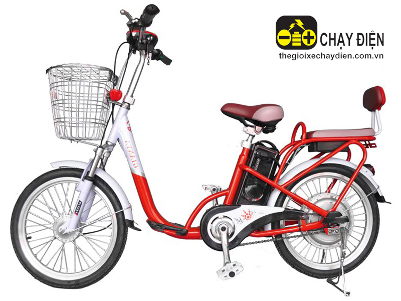 Xe đạp điện Gianya 029