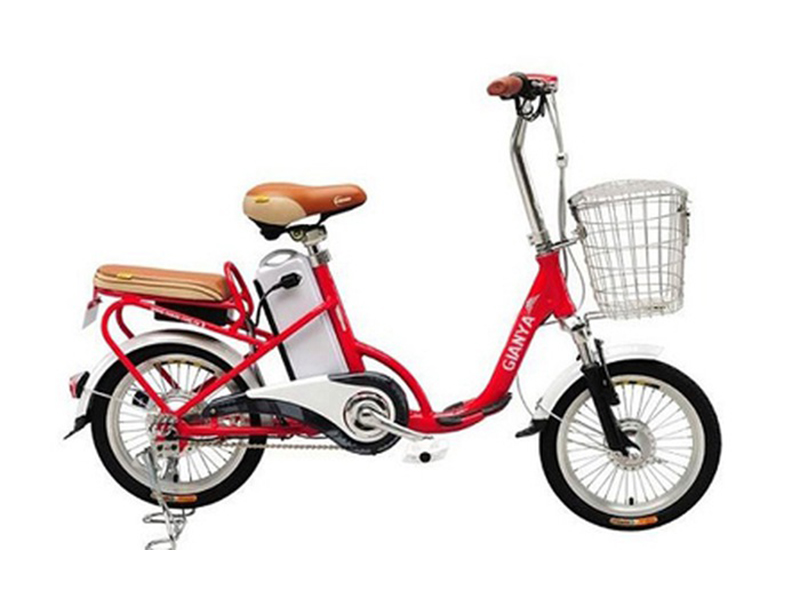 Xe đạp điện Gianya nhập khẩu Quảng Ninh