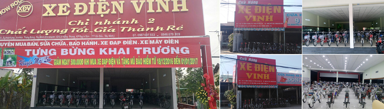 Xe đạp điện Gò Dầu 