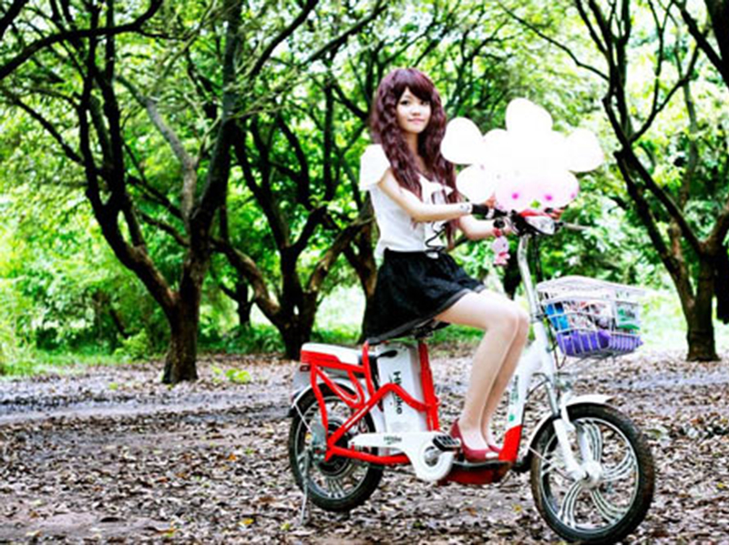 Xe đạp điện Hkbike nhập khẩu An Giang