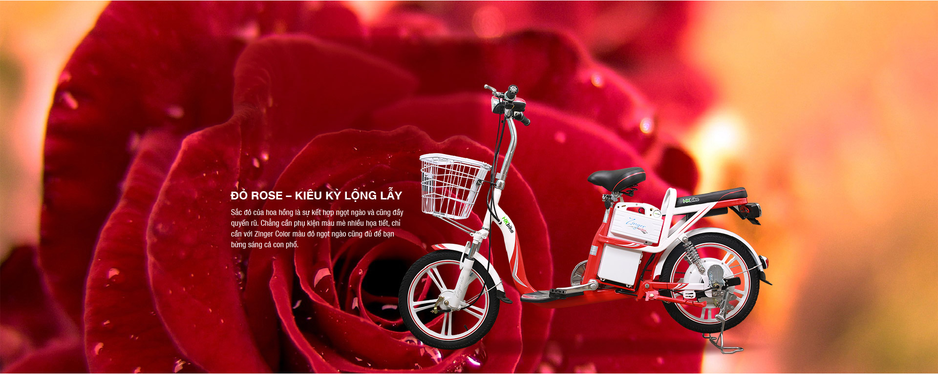 Xe đạp điện Hkbike Zinger Color 