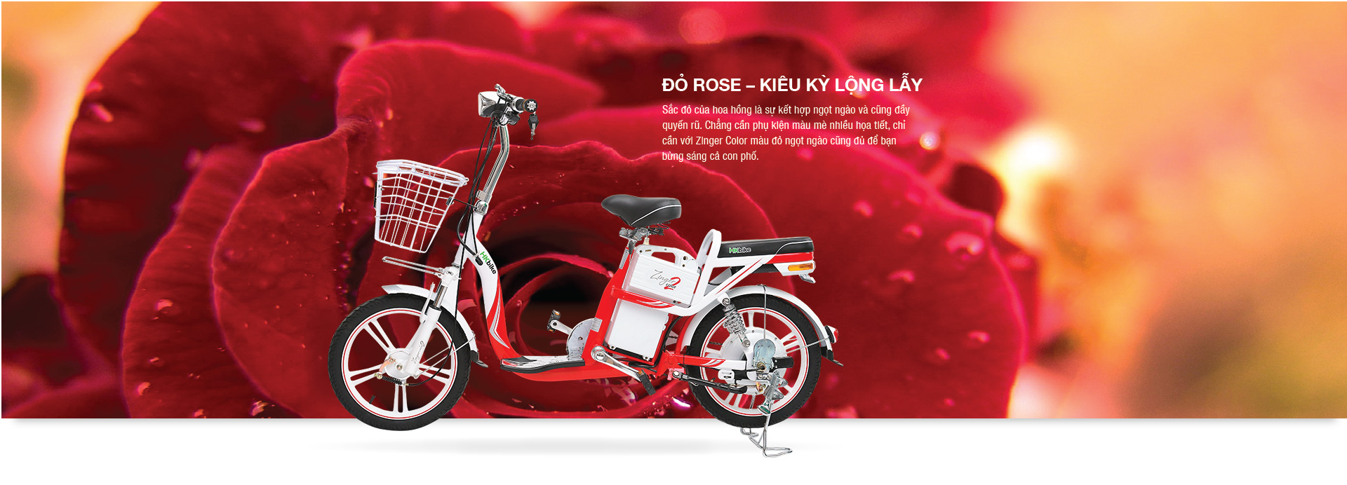 Xe đạp điện Hkbike Zinger Color 