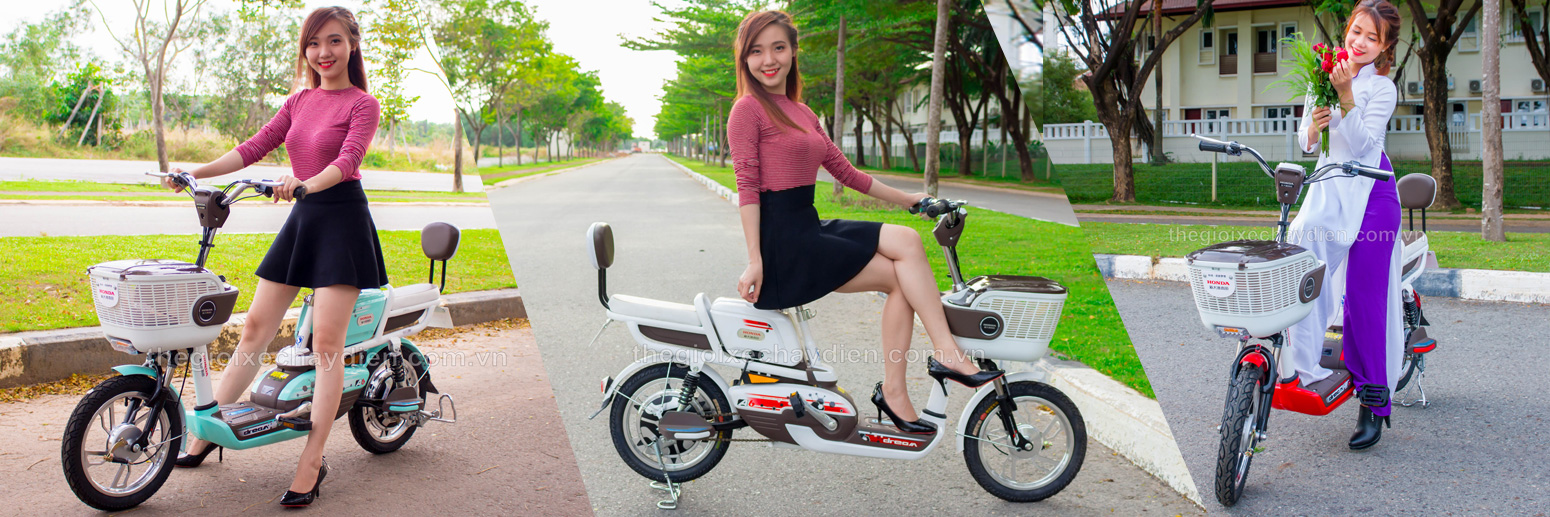 Xe đạp điện Honda A6 Plus 