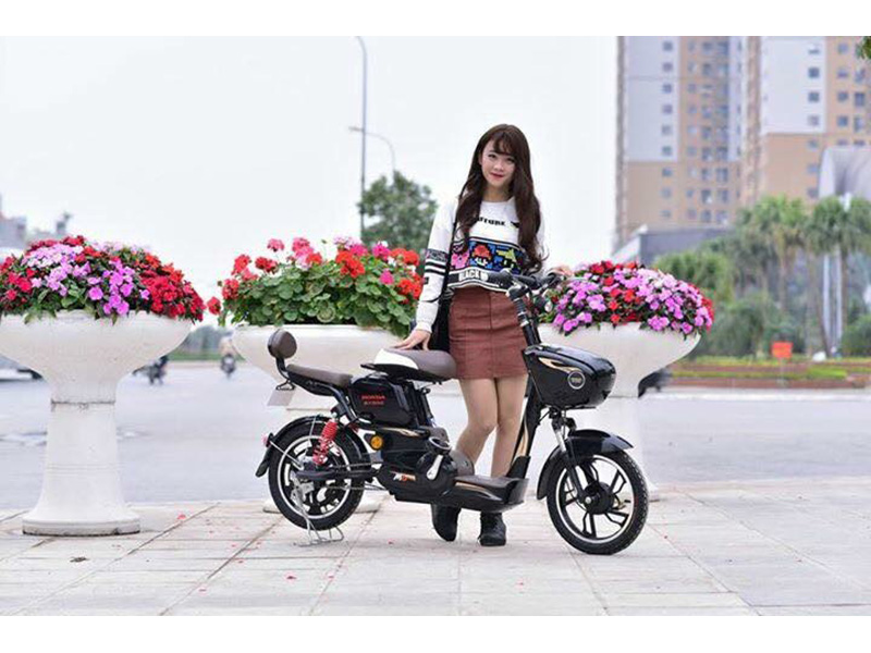 Xe đạp điện Honda nhập khẩu Hà Đông