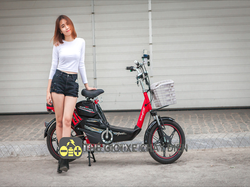 Xe đạp điện HTC nhập khẩu Cát Tường