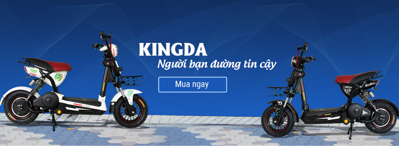 Xe đạp điện Kingda 
