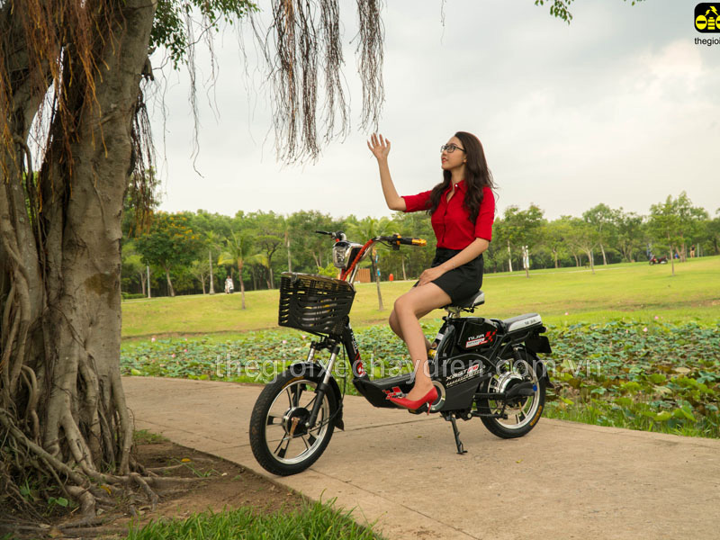 Xe đạp điện Nijia nhập khẩu An Giang