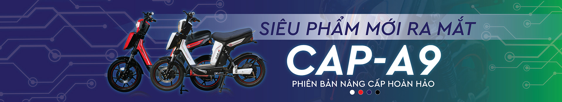 Xe đạp điện Pega Cap A9 