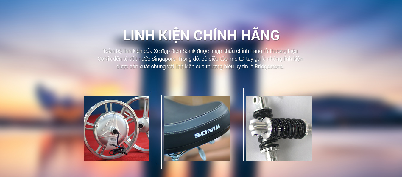 Xe đạp điện Sonik 