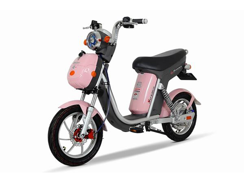 Xe đạp điện Suzika nhập khẩu Ninh Bình