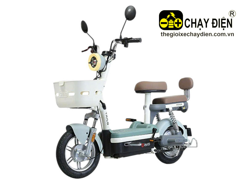 Xe đạp điện Tailg JY33