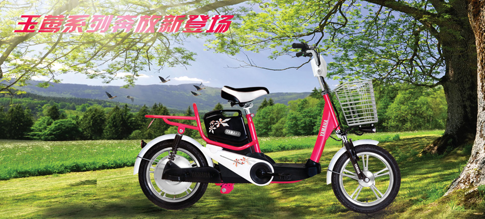 Xe đạp điện YAMAHA ICATS H5 