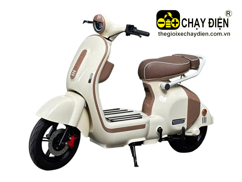 Xe điện Hot Trend DYLEXE X1