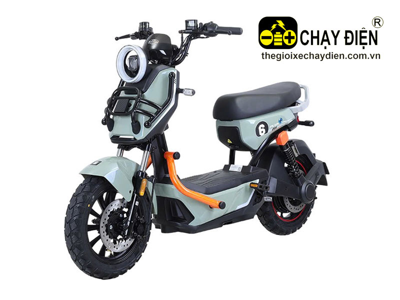 Xe điện TAILG X51