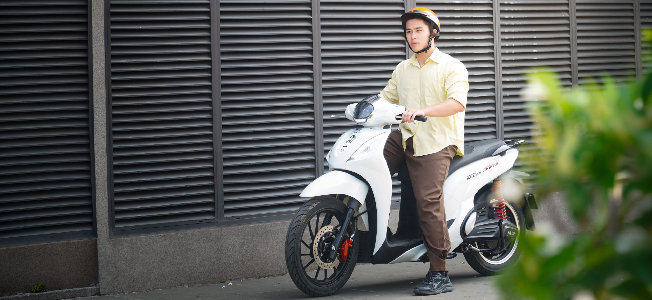 Xe máy điện Ally SV Eco 