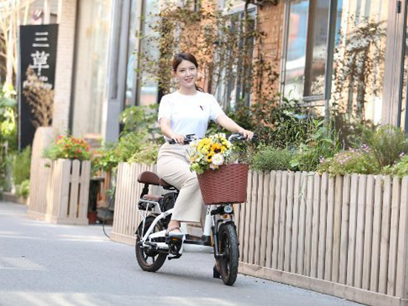 Xiaomi giới thiệu chiếc xe đạp điện mới trị giá 288 USD