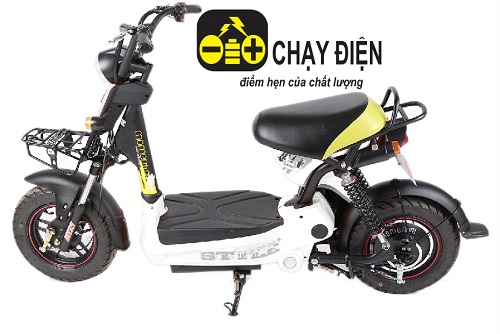 Xe đạp điện cũ Xe đạp điện cũ