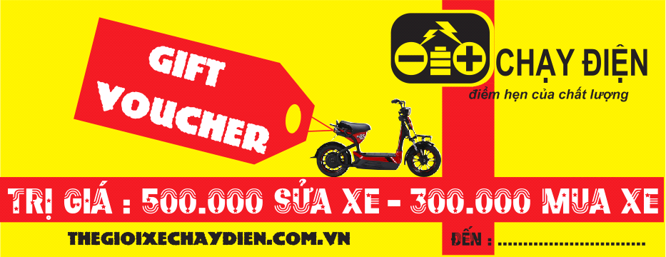 voucher sửa chữa xe đạp điện