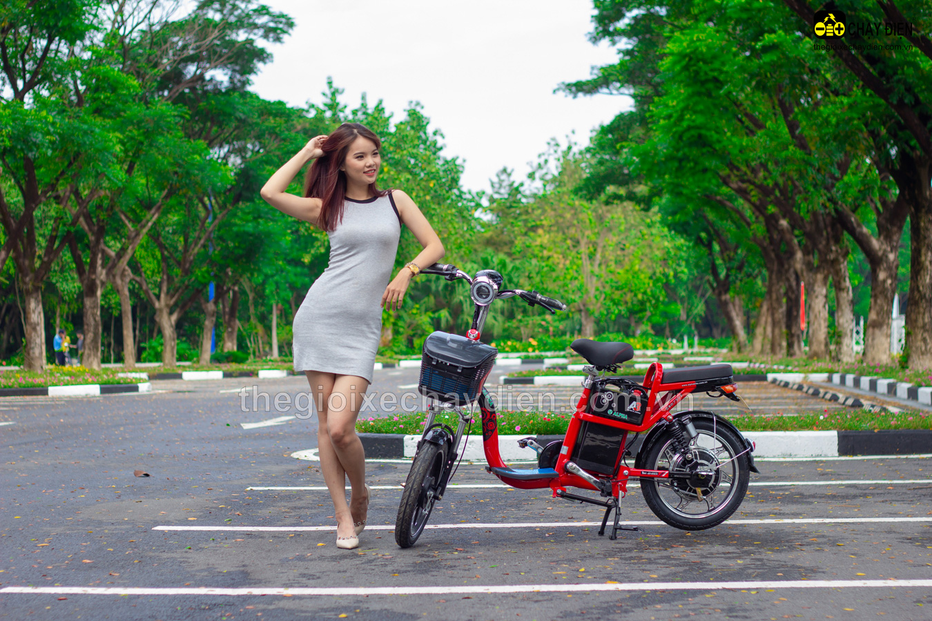 Alpha A3 thanh lịch và tinh tế Alpha A3 thanh lịch và tinh tế