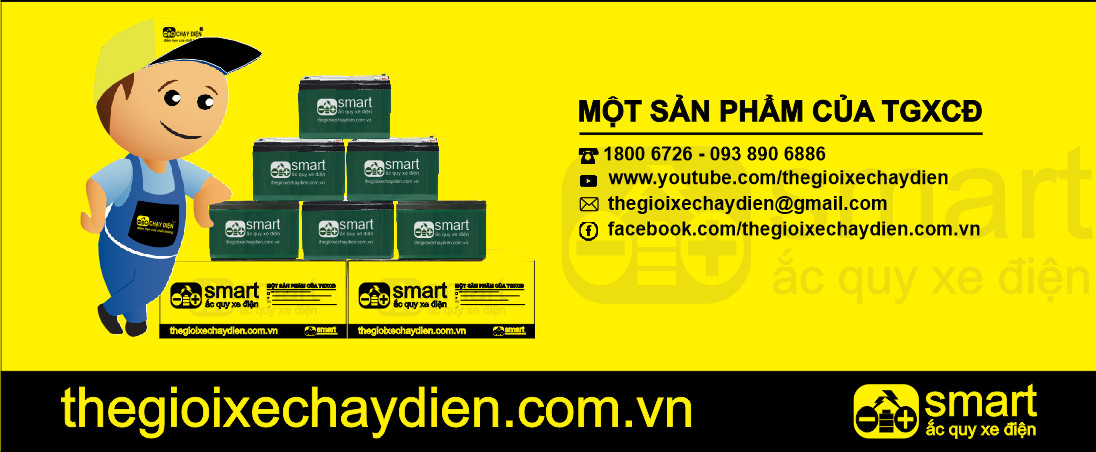 Ắc quy xe đạp điện Smart- sản phẩm mới của Thế Giới Xe Chạy Điện