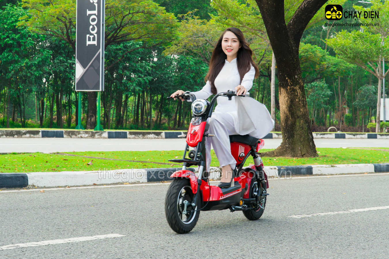 EV S8 Limited- mẫu xe đạp điện thu hút đông đảo giới trẻ 2020