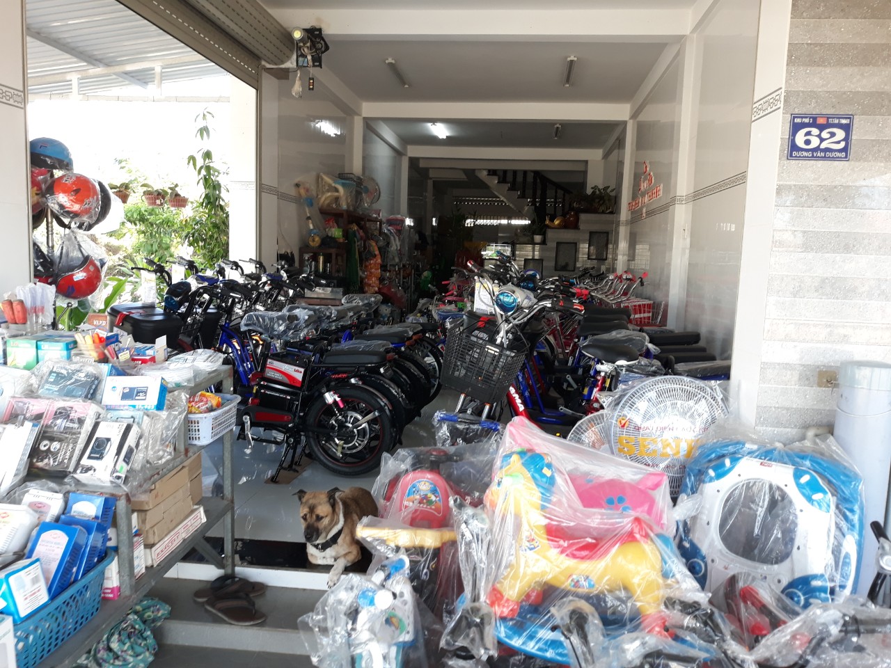 Tưng bừng khai trương đại lý ủy quyền của thương hiệu TGXCĐ tại Long An Tưng bừng khai trương đại lý ủy quyền của thương hiệu TGXCĐ tại Long An