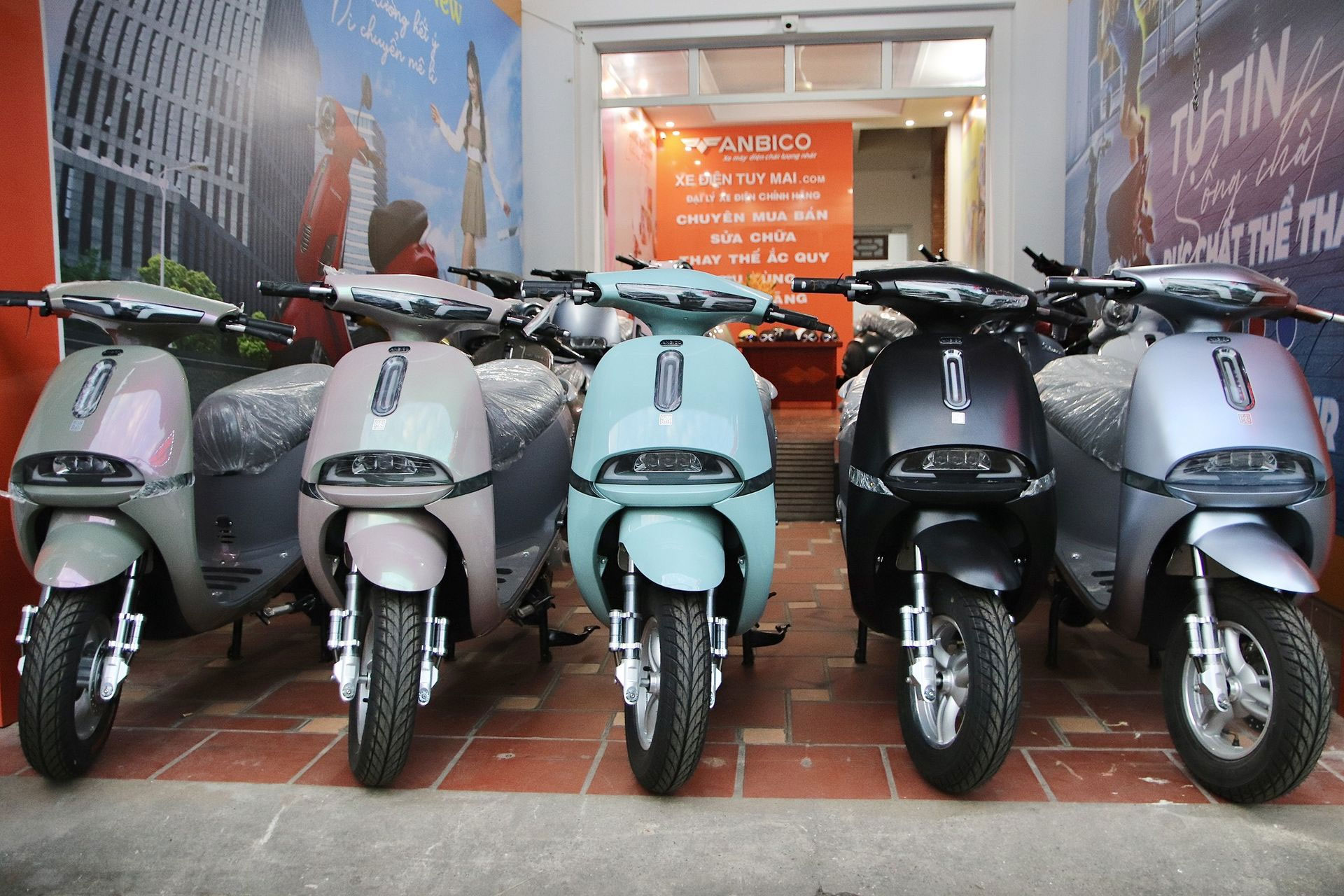 Kiểm tra ngoại quan và giấy tờ của xe Kiểm tra ngoại quan và giấy tờ của xe