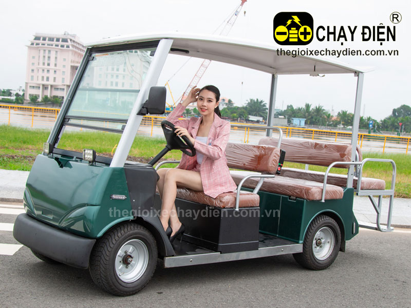 Các loại xe điện thường được đổi mới