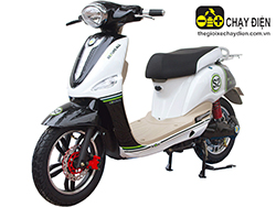 Xe m&aacute;y điện Before All S2