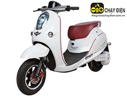 Xe máy điện Hyundai Ebike E-MOTION Xe máy điện Hyundai Ebike E-MOTION
